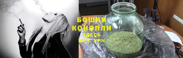 mdpv Арсеньев