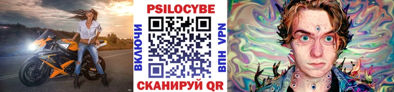 где можно купить наркотик  Россошь  Псилоцибиновые грибы Psilocybine cubensis 